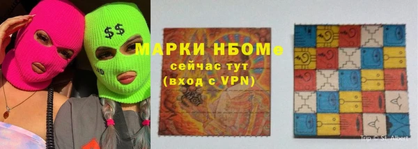 прущие грибы Абинск