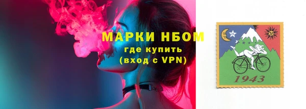 прущие грибы Абинск
