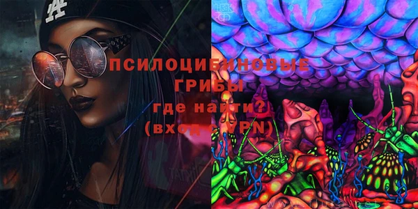 прущие грибы Абинск