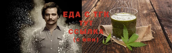 прущие грибы Абинск