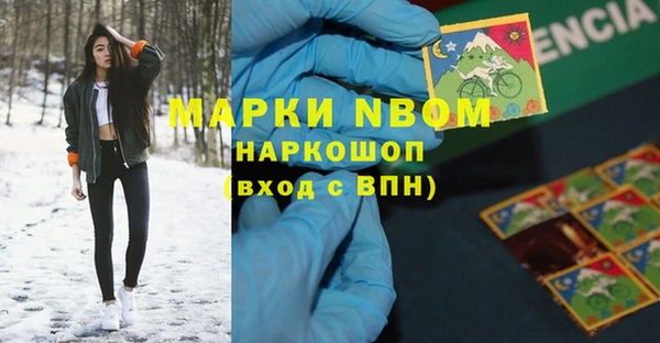 прущие грибы Абинск