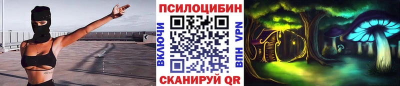 hydra ССЫЛКА  Торопец  Псилоцибиновые грибы мухоморы 